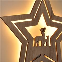 Solight LED nástěnná dekorace vánoční hvězda, 24x LED, 2x AA